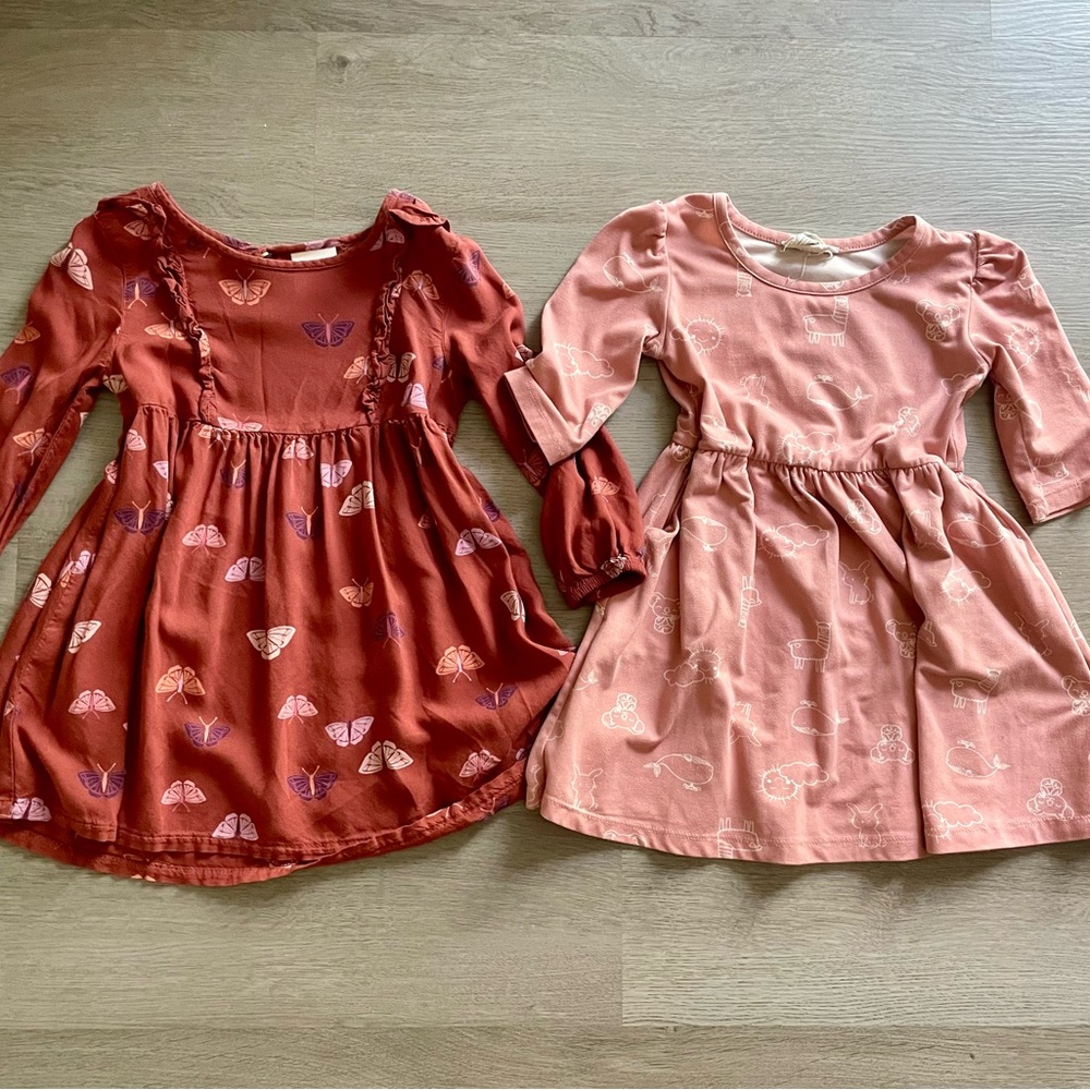 2 Toddler Girls Charming Kids Dresses Size 3t